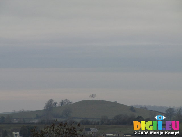 SX01048 Tree on top of hill in distance